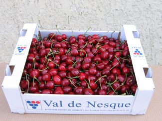 Cerise emballage blanc Mont Ventoux - Producteur Val de Nesque